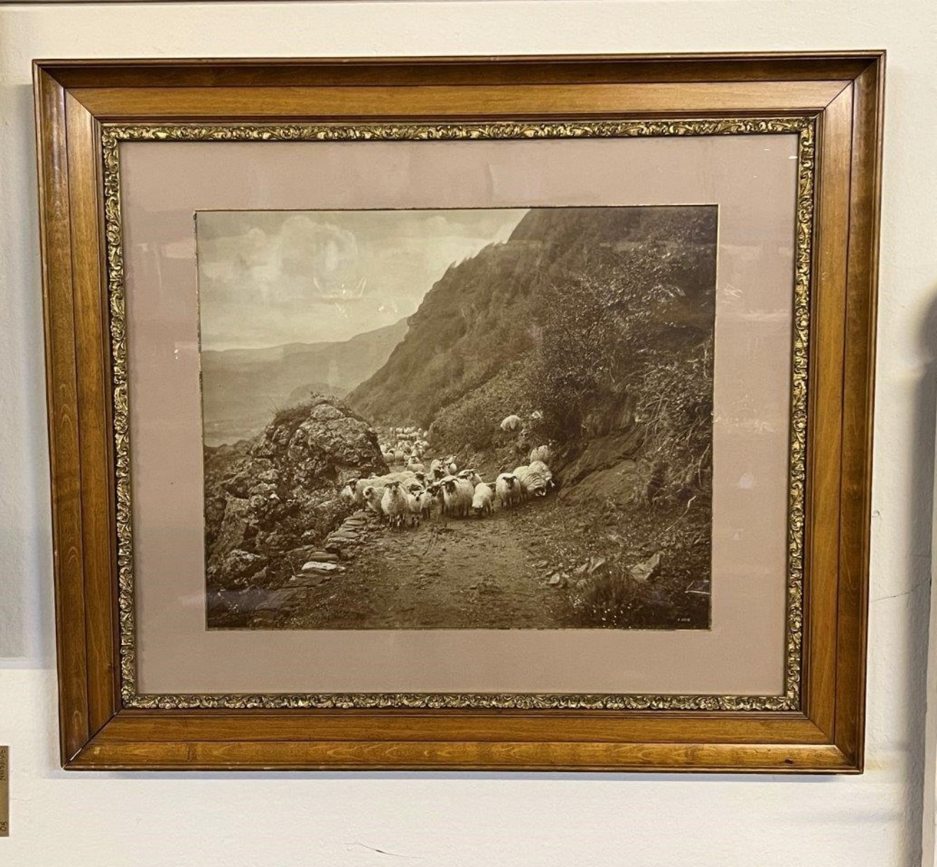 Antique Walnut & Gilt Framed Photo Print of Sheep on a Hillside Near Ballater By Victorian Photographer Charles Reid