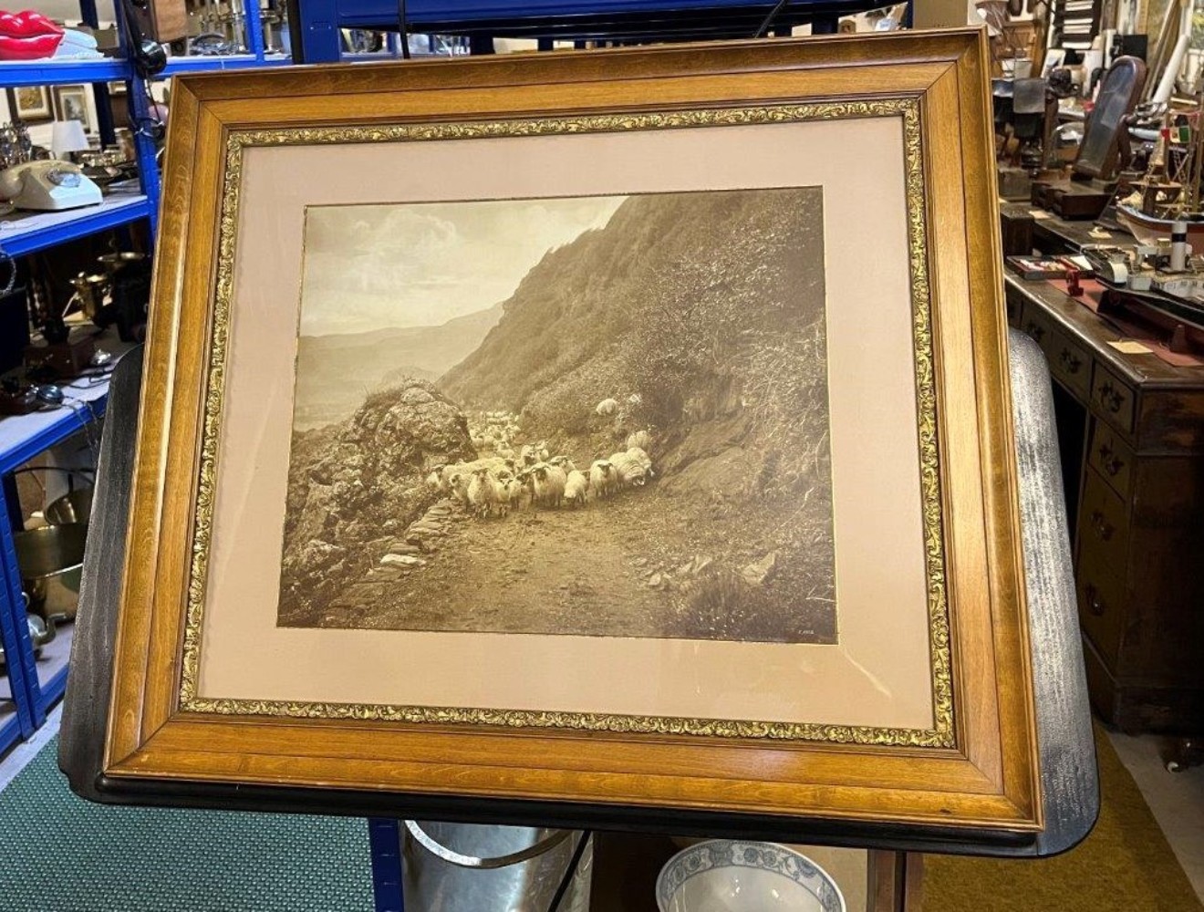 Antique Walnut & Gilt Framed Photo Print of Sheep on a Hillside Near Ballater By Victorian Photographer Charles Reid