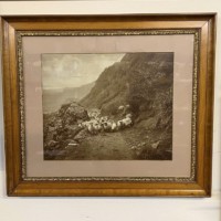 Antique Walnut & Gilt Framed Photo Print of Sheep on a Hillside Near Ballater By Victorian Photographer Charles Reid