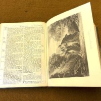 Victorian The Holy Bible Illustrated containing the Old and New Testaments