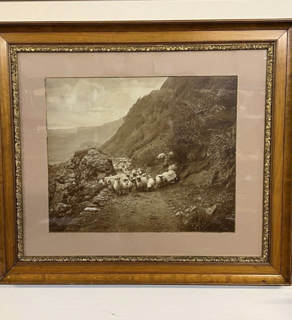 Antique Walnut & Gilt Framed Photo Print of Sheep on a Hillside Near Ballater By Victorian Photographer Charles Reid